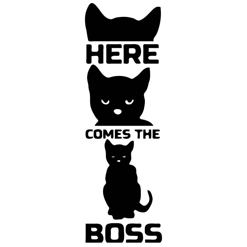 Here comes the Boss (Cat)