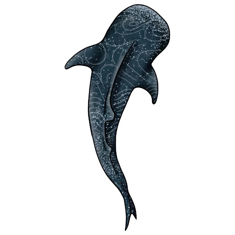 Aquarelle Requin Baleine