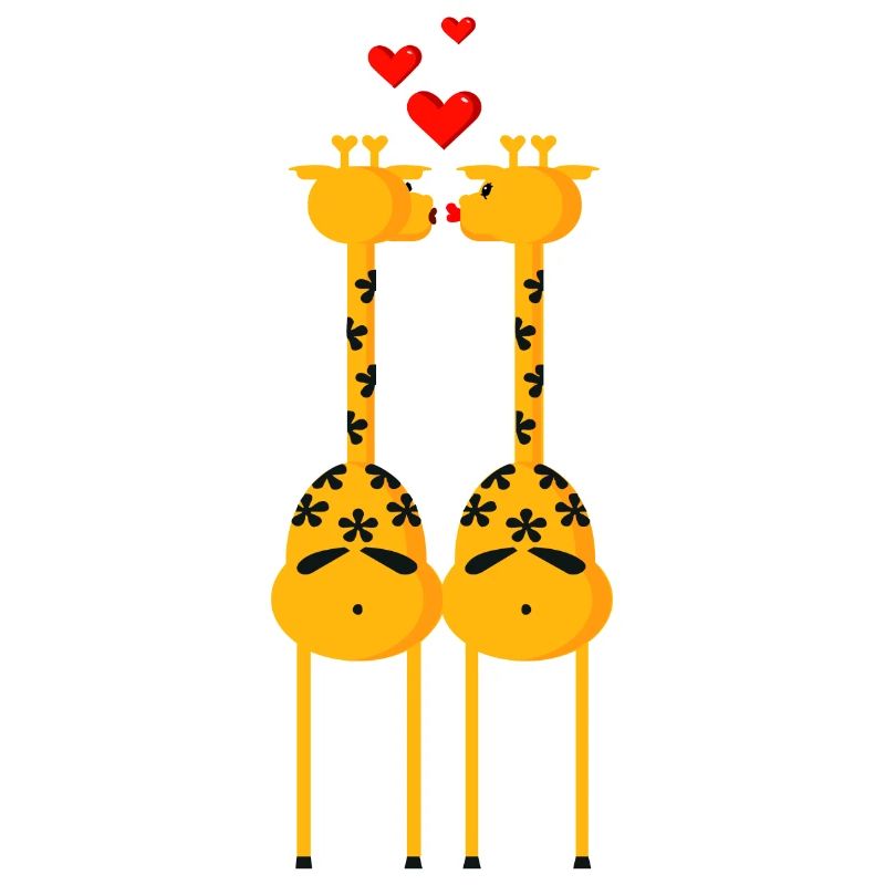 2 giraffes (ddp)