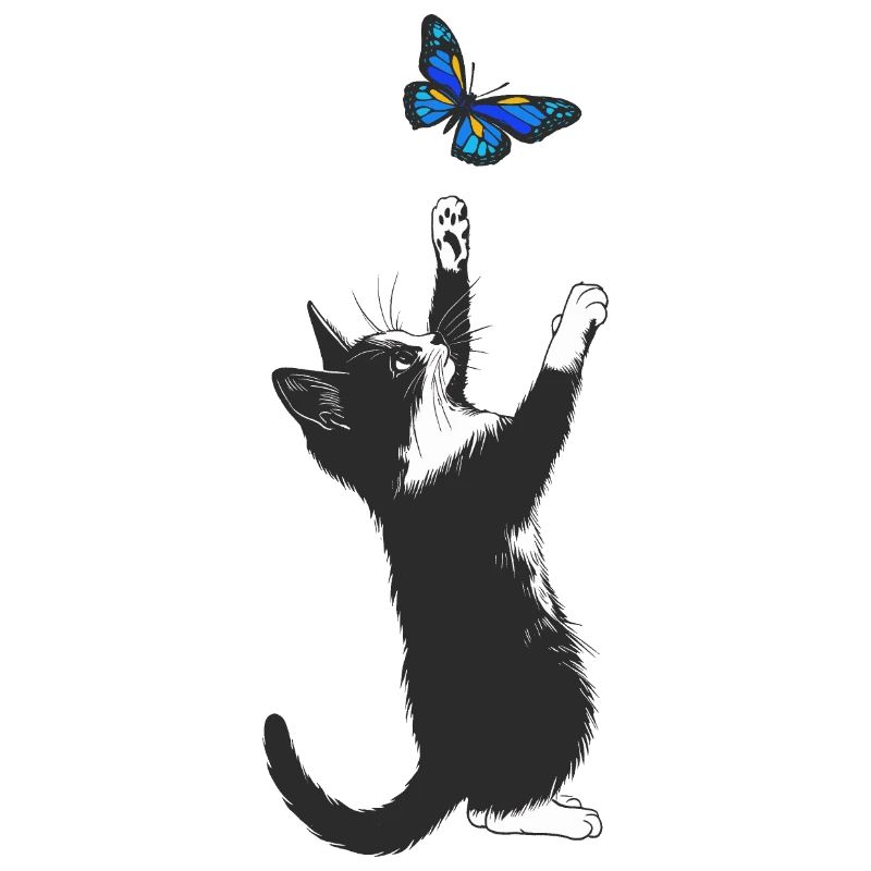 Papillon Kitty
