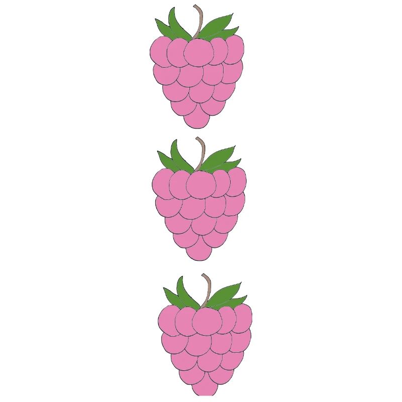 raspberries trio pattern