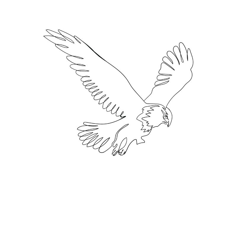 One Line Art Eagle tegnet med en bindestreg