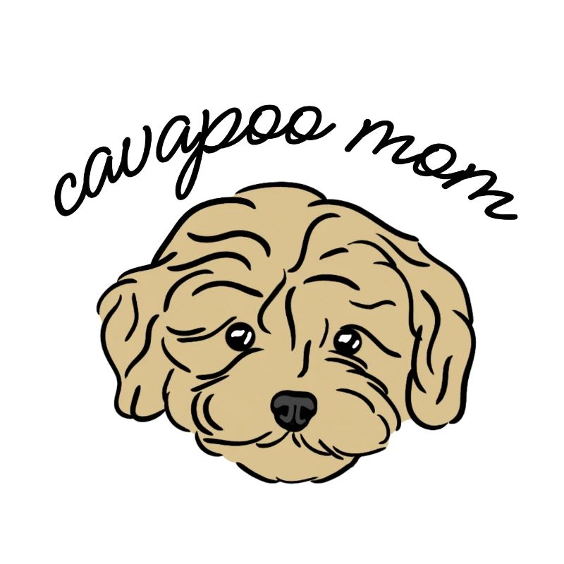 cavapoo mom