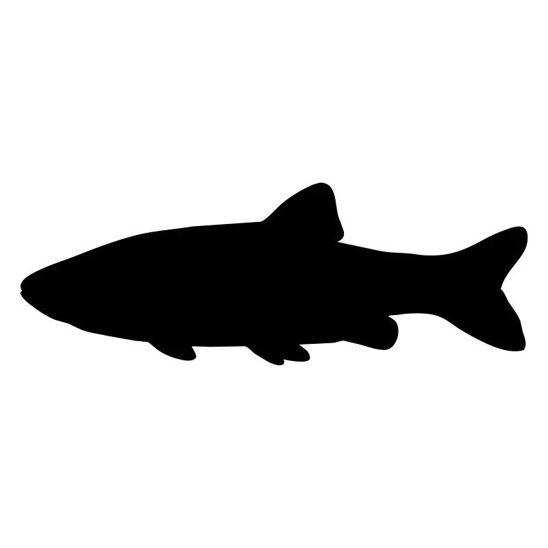 Fish silhouette chub