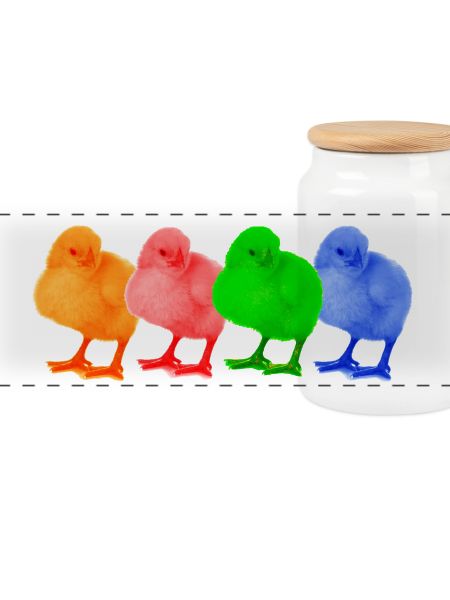 Bunte Küken