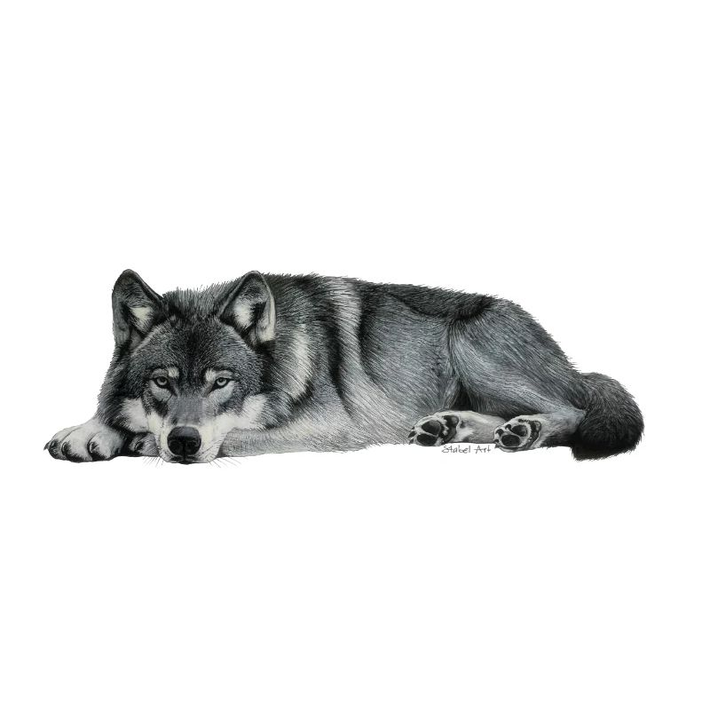 loup