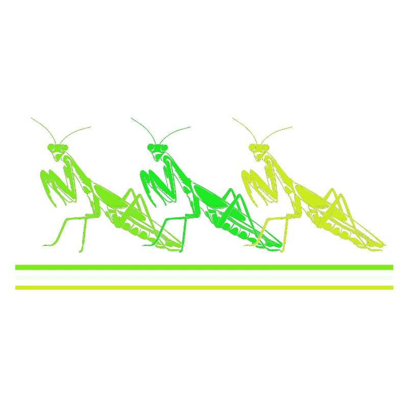 Mantis Gottesanbeter Gottesanbeterin