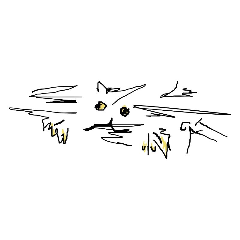 Chat Chat