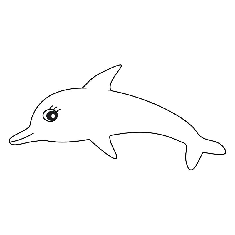 Dolphin Dolphins
