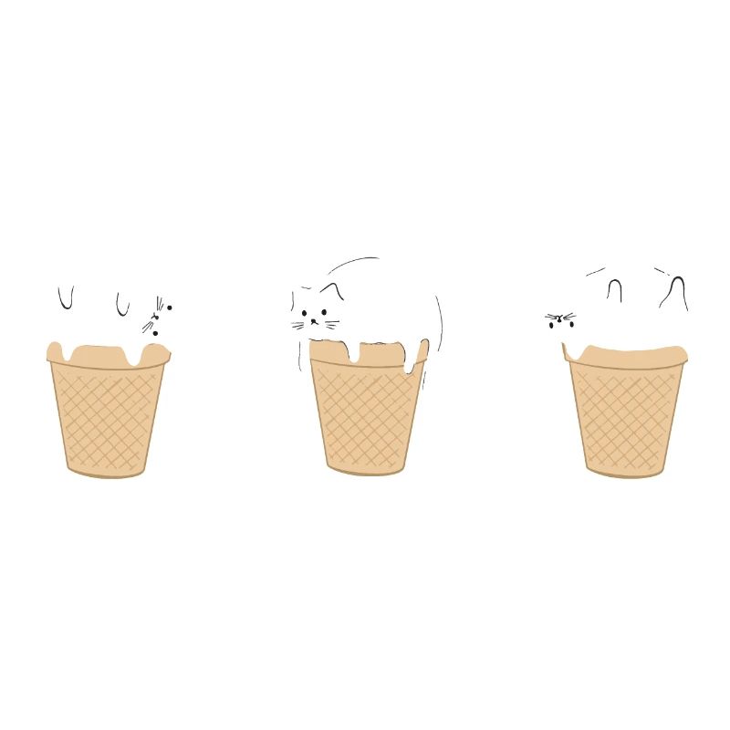 Glace Chat Bébé Glace