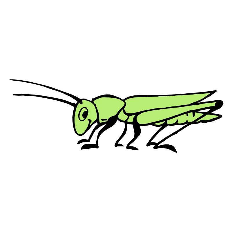 Heuschrecke