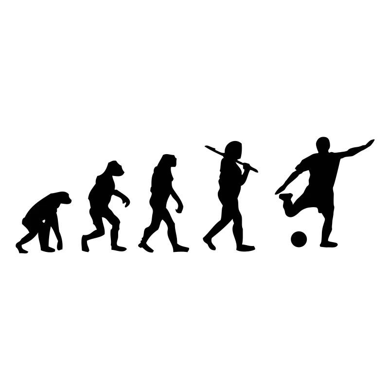 Evolution Fussball