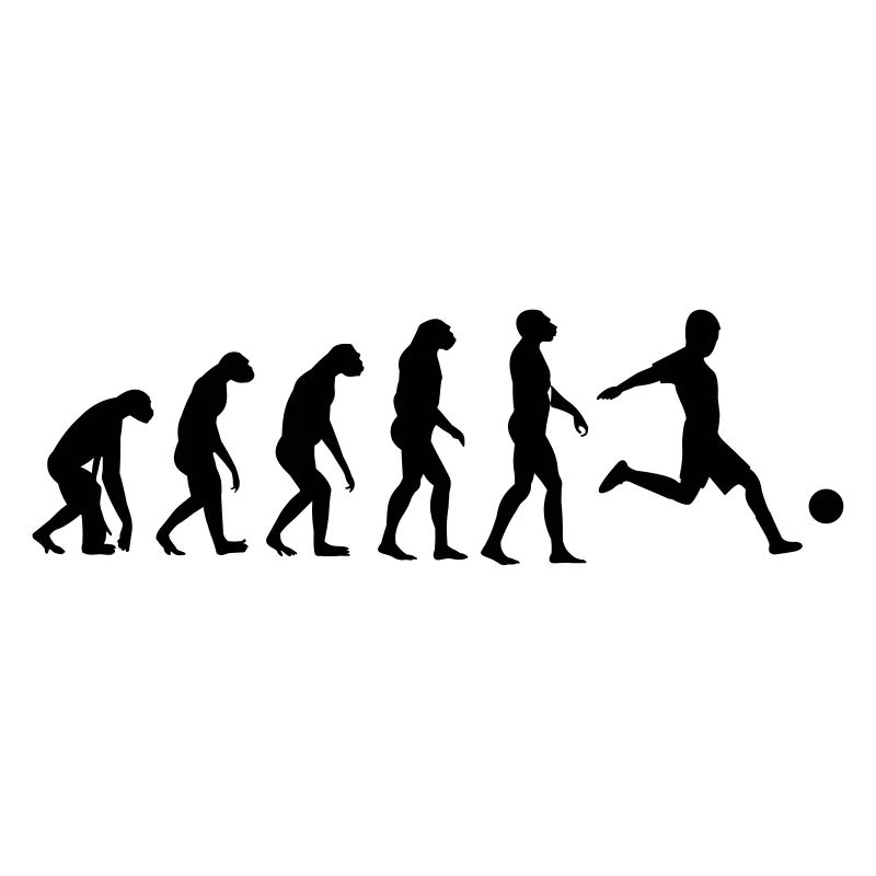 Evolution Fußball