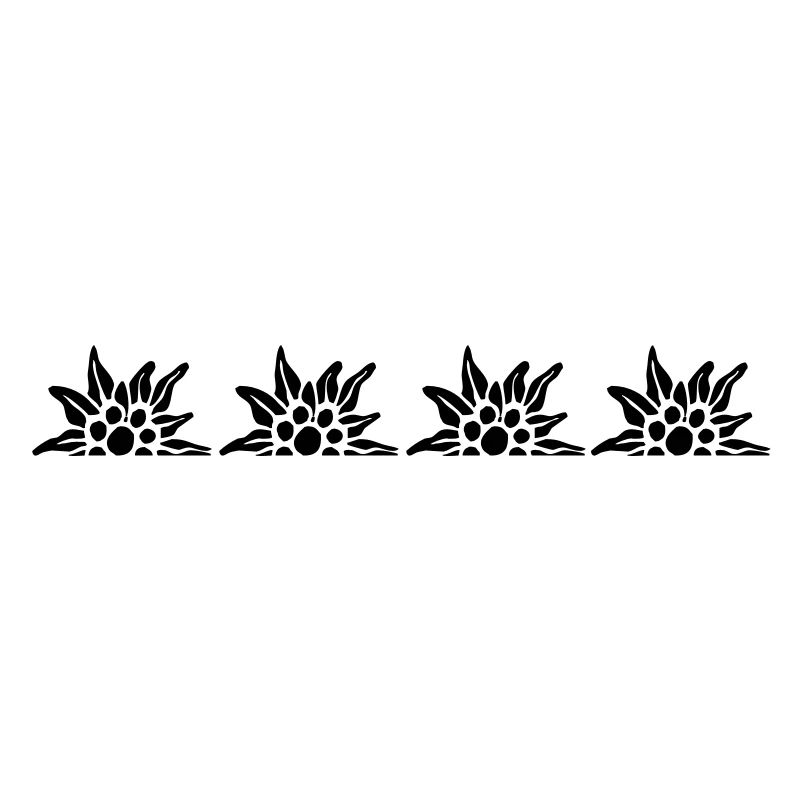 edelweiss