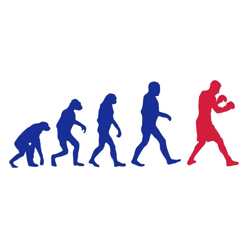 Boxing Evolution logo