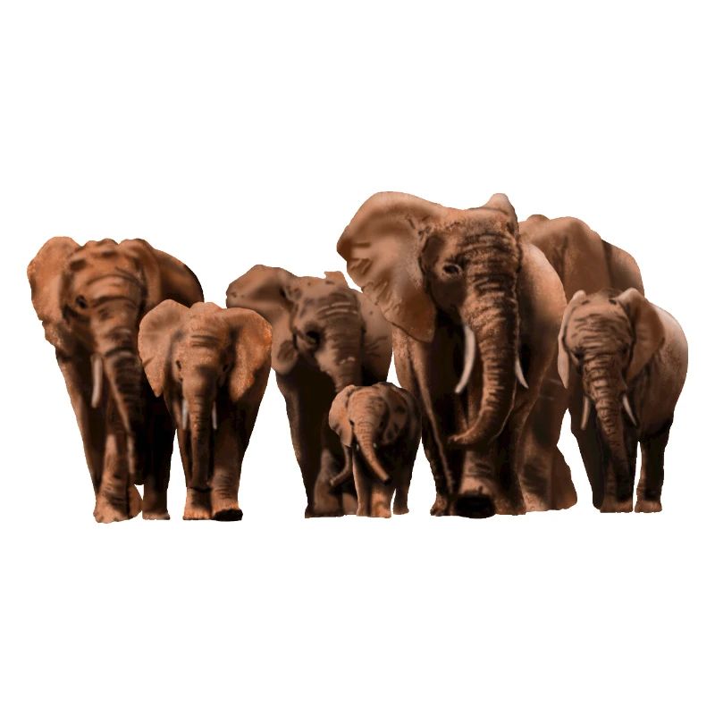 Desert Elephant Coloring