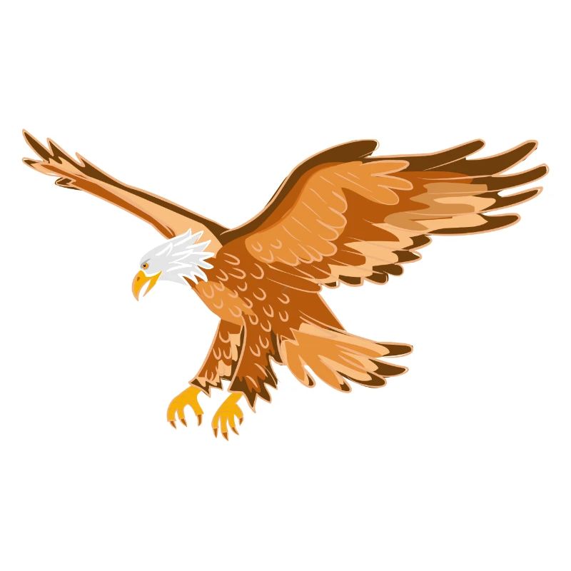 Adler Greifvogel