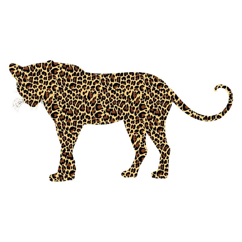 guépard chat ocelot léopard jaguar, guépard wildcat53