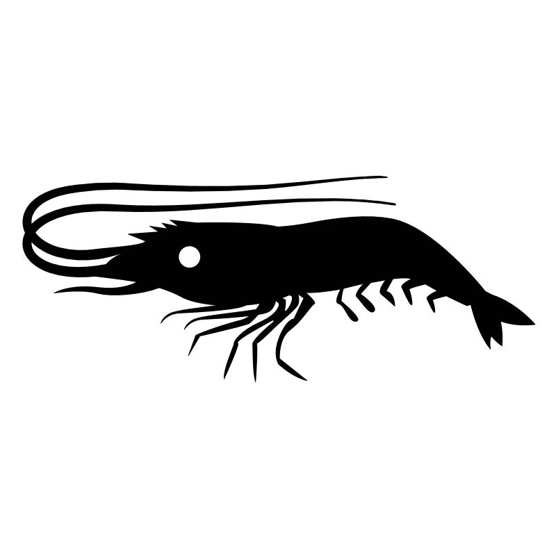 single shrimp prawn with antennae