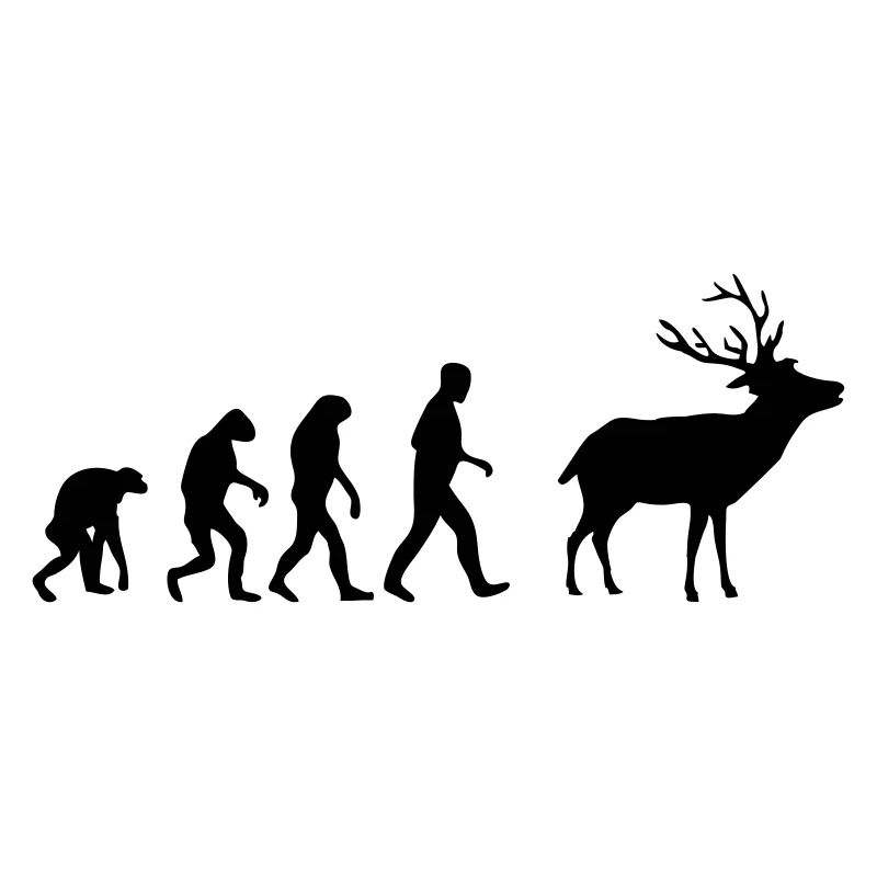 cerf evolution