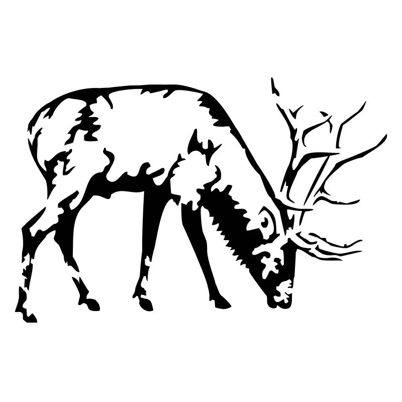 deer