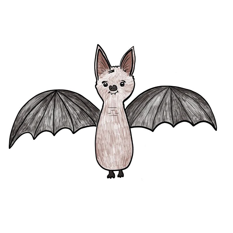 Fledermaus-Phantom Illustration