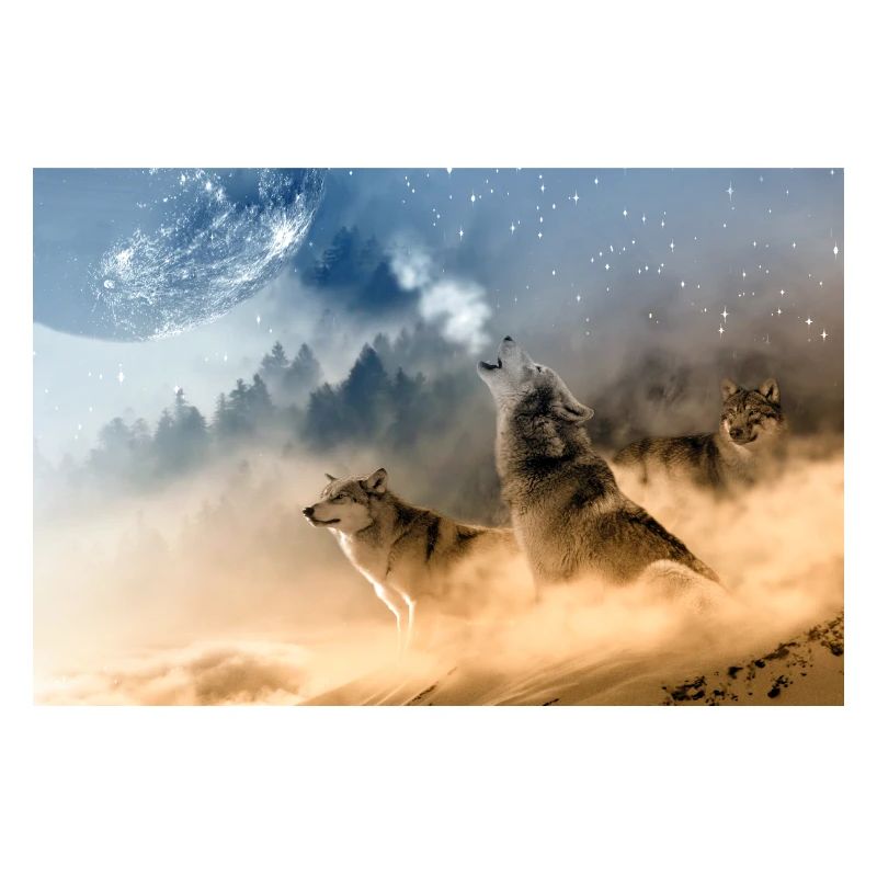 Loups hurlant à la lune / Beaux loups