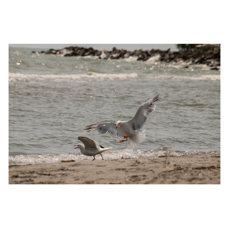 Zwischen Himmel und Meer
