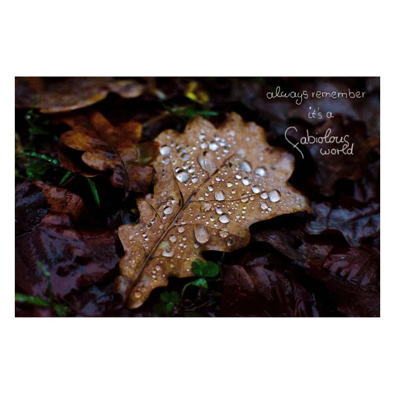 fabiolous world Herbstblatt