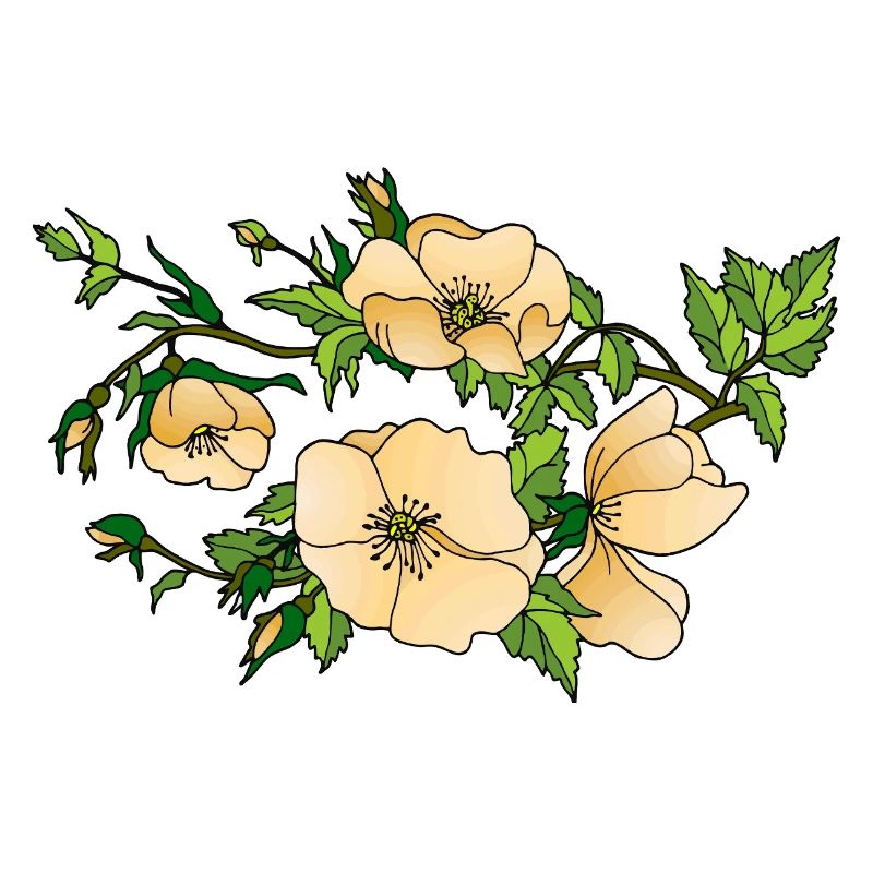 Fleur