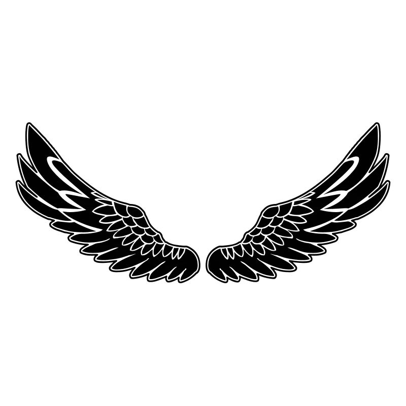 Ailes noir de
