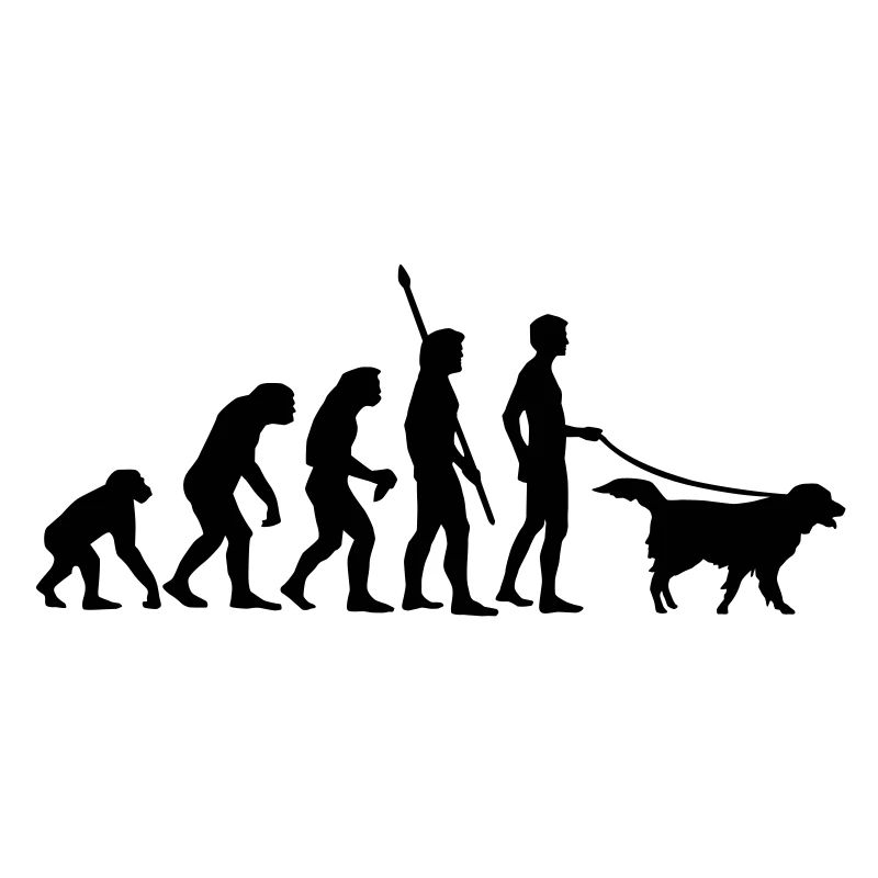 evolution_dog