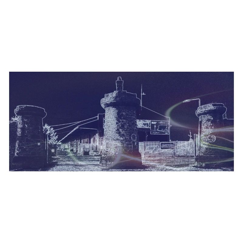 Bramley Moore Dock