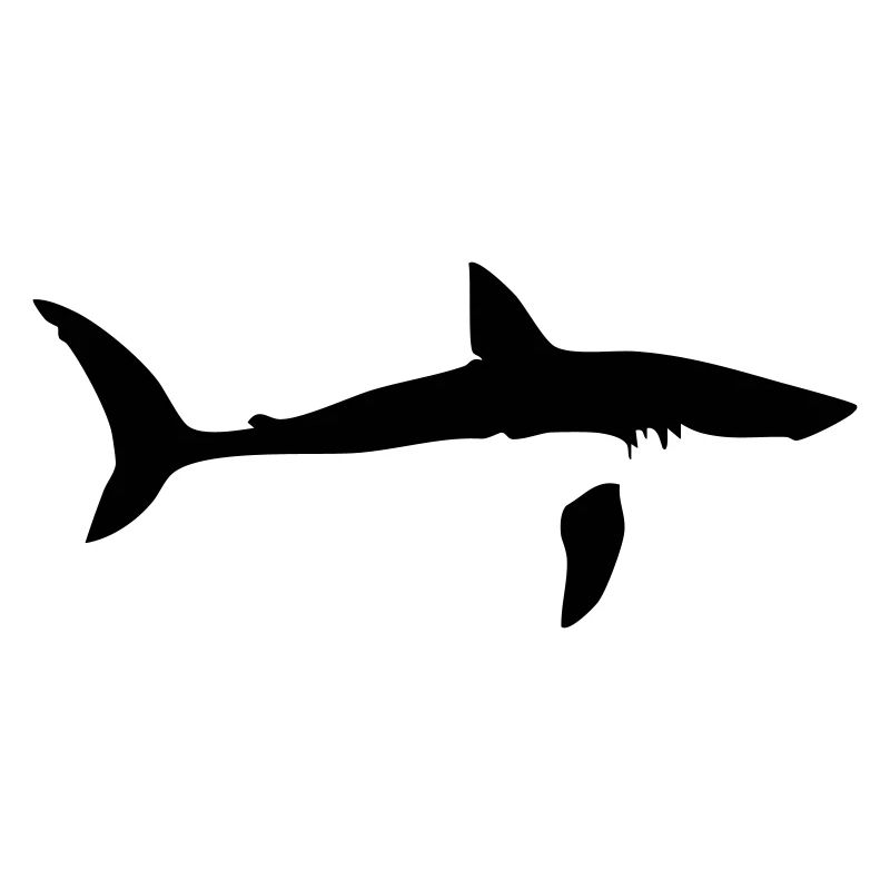 requin requin requin