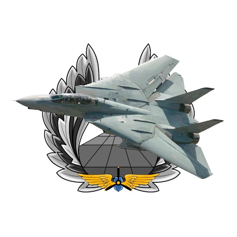 F-14 Tomcat