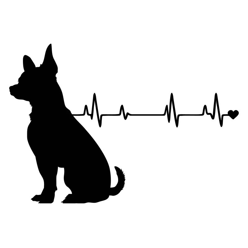 Hund
