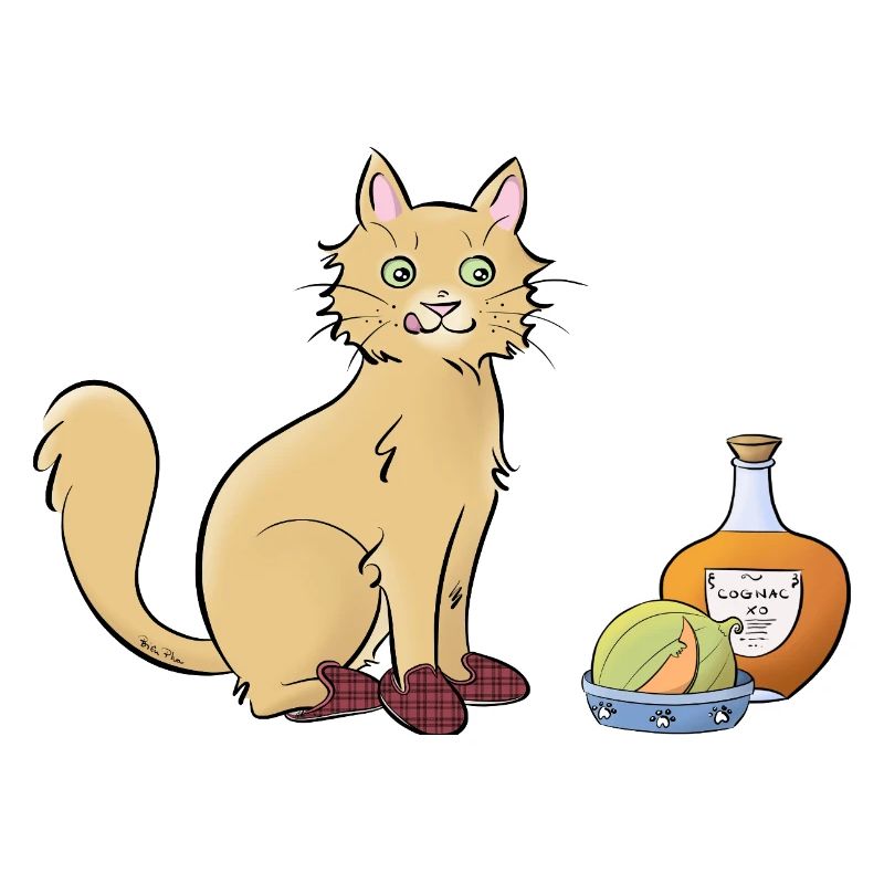 Chat-rentais