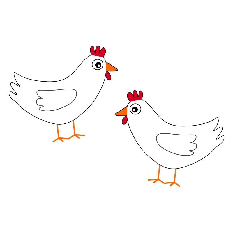 Chicken White White Chickens Hens Easter