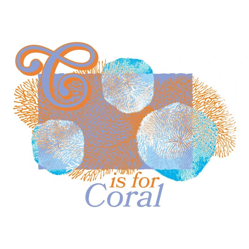 Coral magic in focus