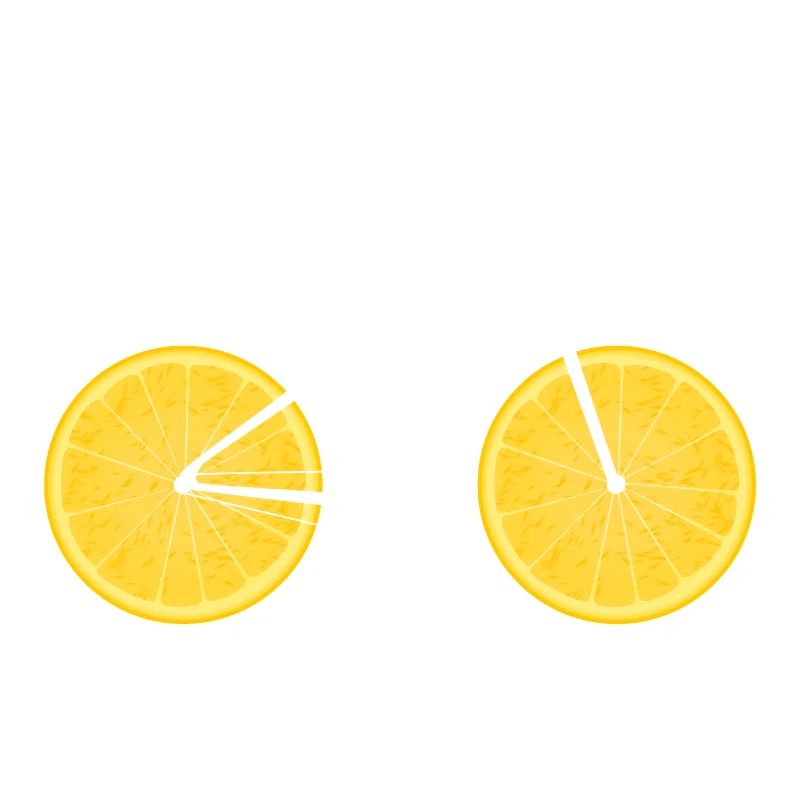 Fruit Bicycle Lemon Lime Orange / Gift