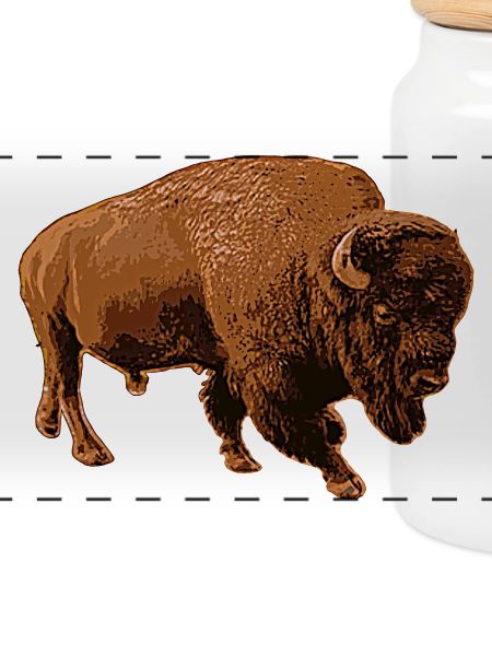 Bison