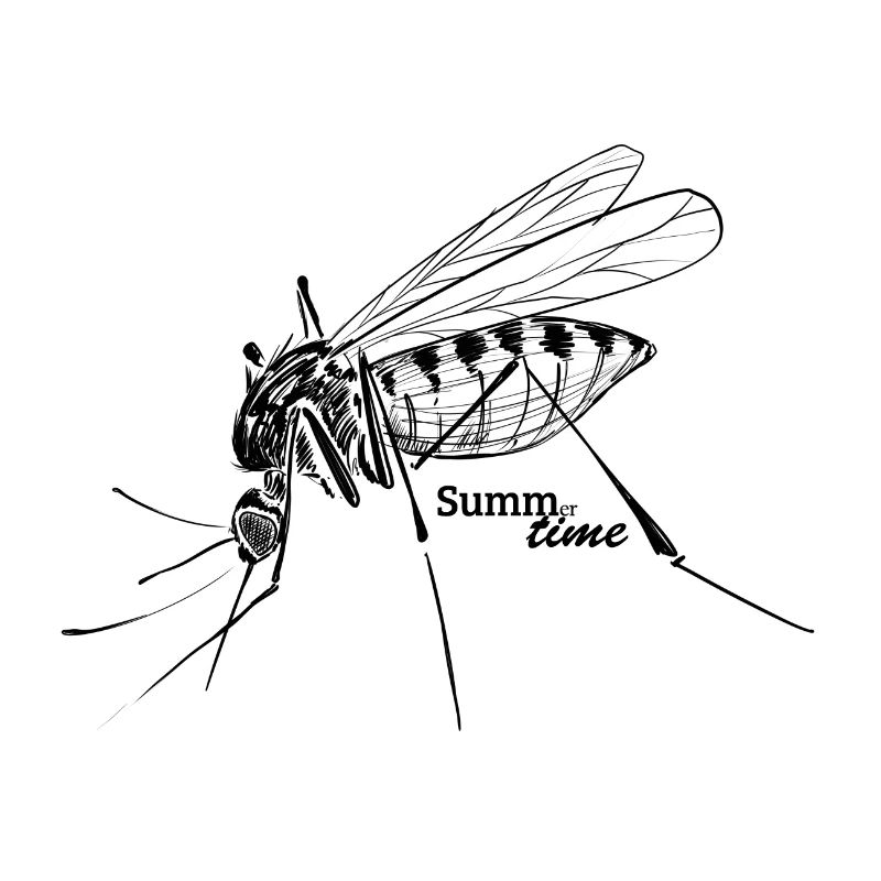 Summer Love: Buzz-er-time - Mosquito Time