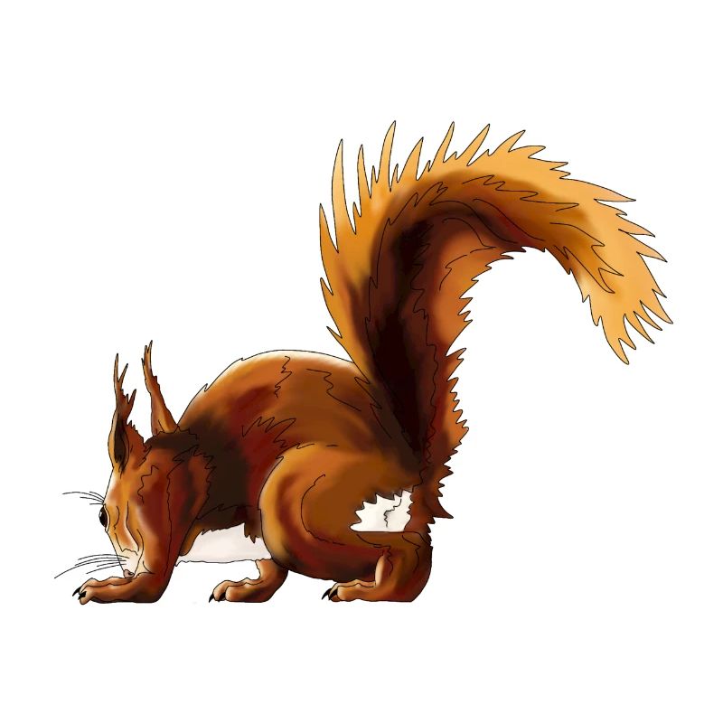 Eichhörnchen Flausch Herbst-Edition