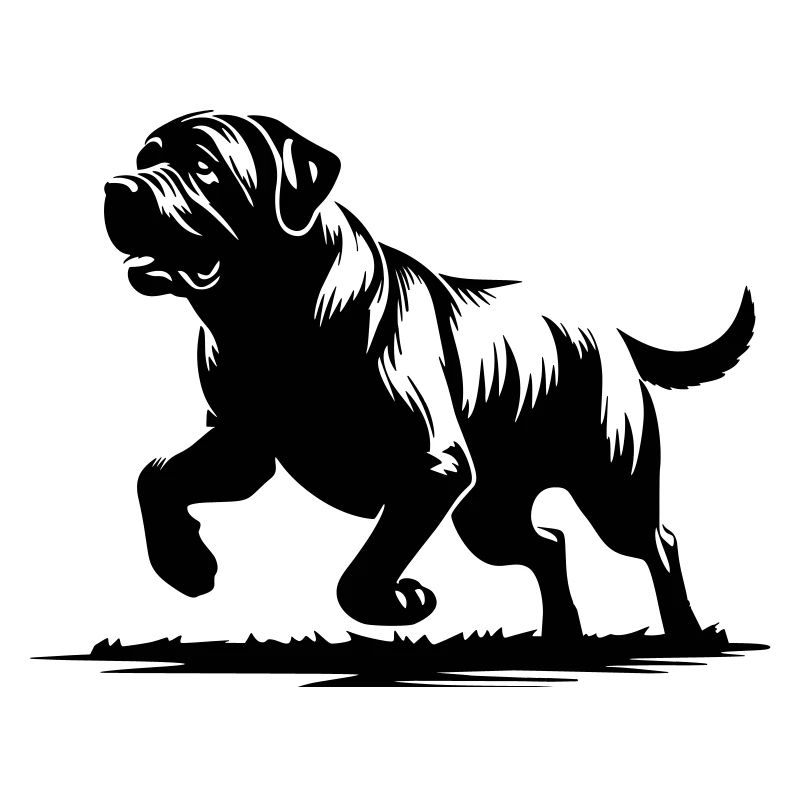 Dogue anglais