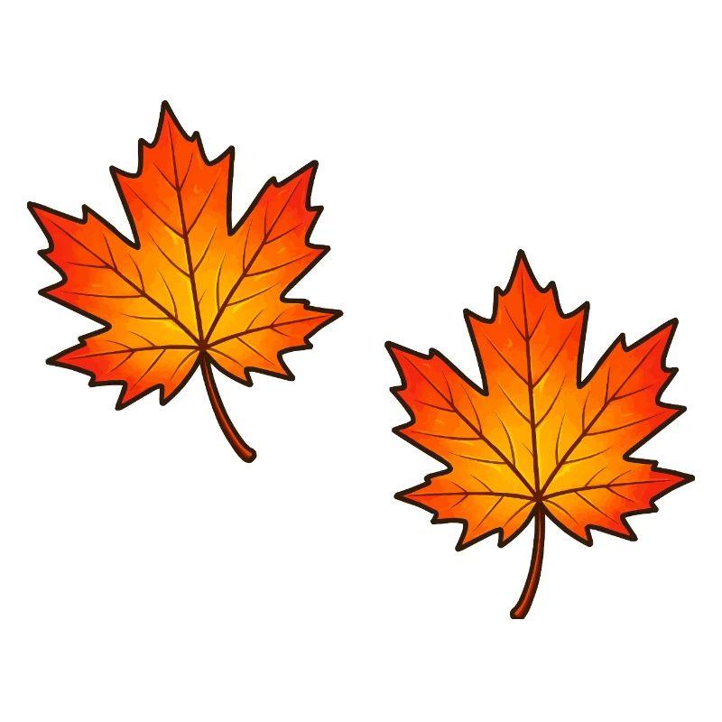Illustration de feuilles d’érable d’automne