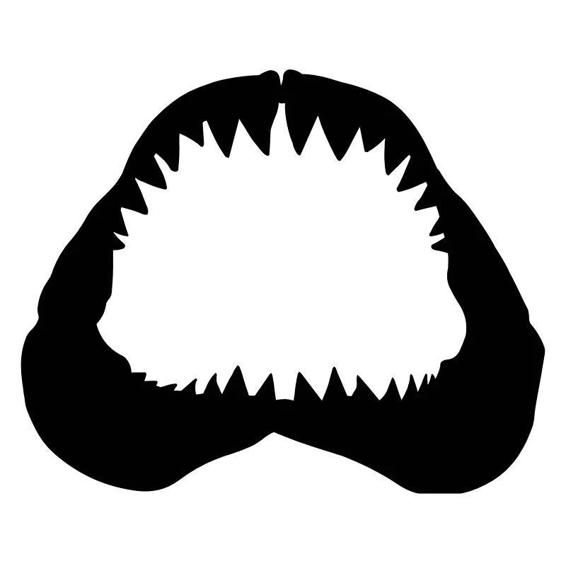 Shark Jawbone