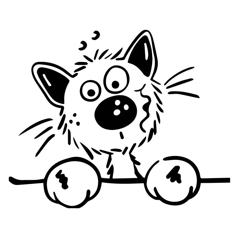 Cute Cat
