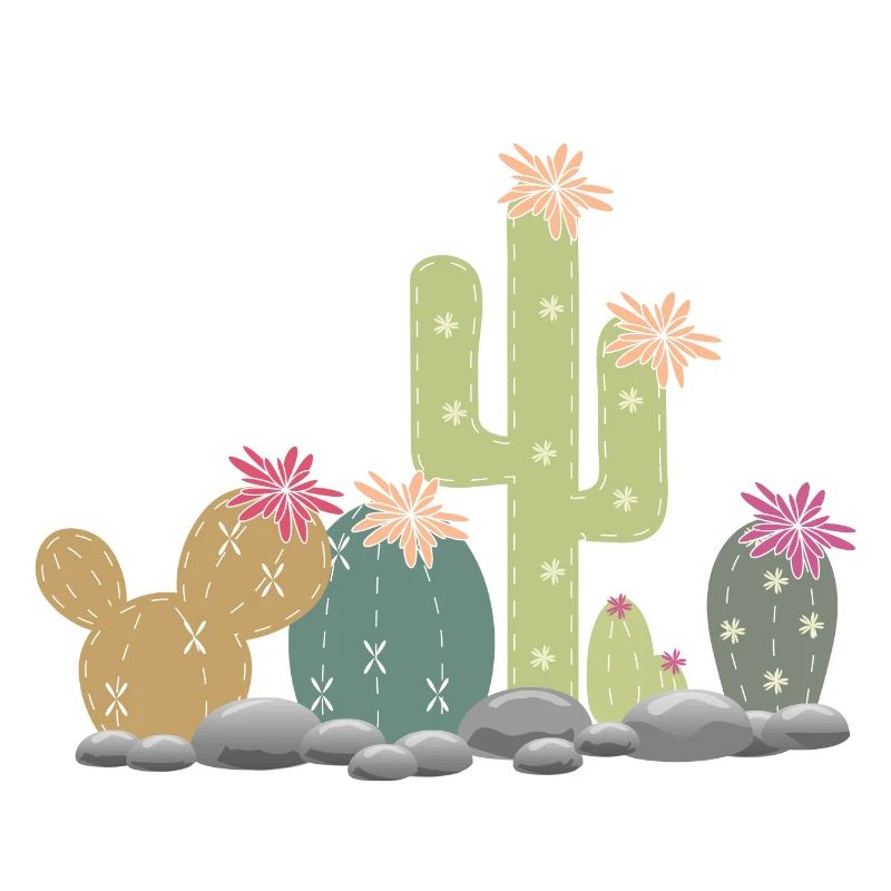 Jardin de rocaille de cactus avec différents cactus