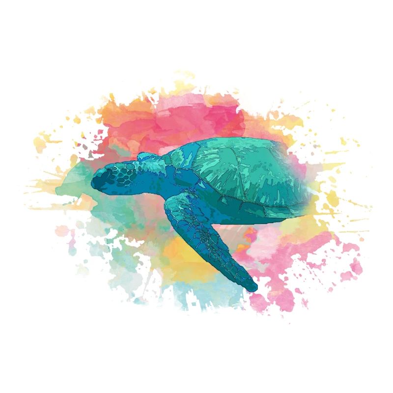 tortue