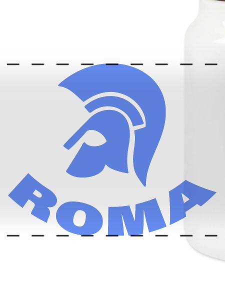 ROM
